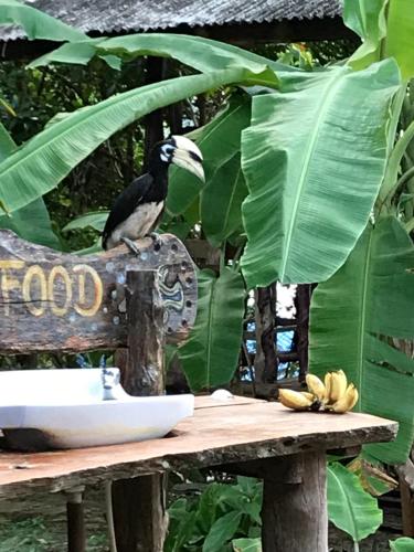 Fotografie z fotogalerie ubytování KohChangResortRanong v destinaci Ko Chang Ranong