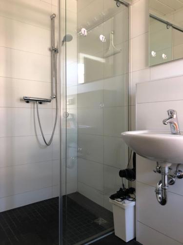 a bathroom with a shower and a sink at Ferienwohnung Föhrenweg in Neumarkt in der Oberpfalz