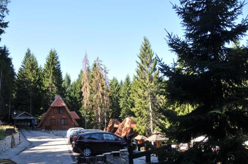 a car parked in front of a log cabin at Vila Jelena Zlatar Nova varoš in Brdo
