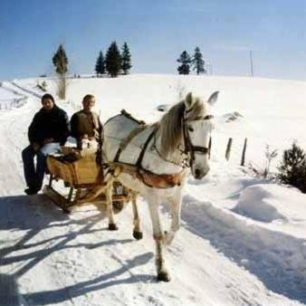 two people in a horse drawn sleigh in the snow at Vila Jelena Zlatar Nova varoš in Brdo