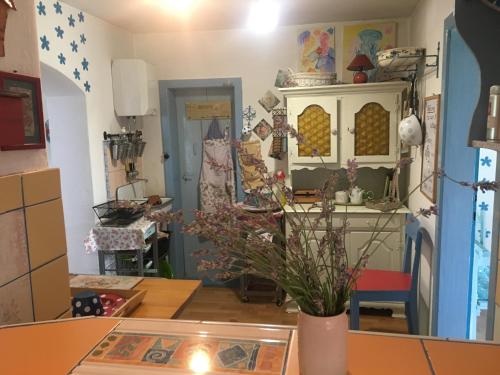 Kuchyň nebo kuchyňský kout v ubytování Blue Cottage