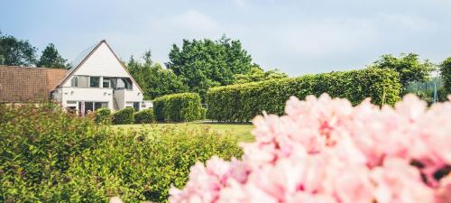 Ein Garten an der Unterkunft Vakantiewoning Hakuna Matata