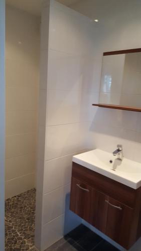 een badkamer met een wastafel en een spiegel bij Chalet in Castricum
