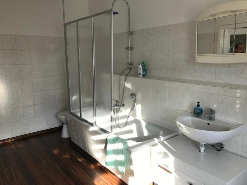 een badkamer met een wastafel en een douche bij Apartment Juna in Auerbach