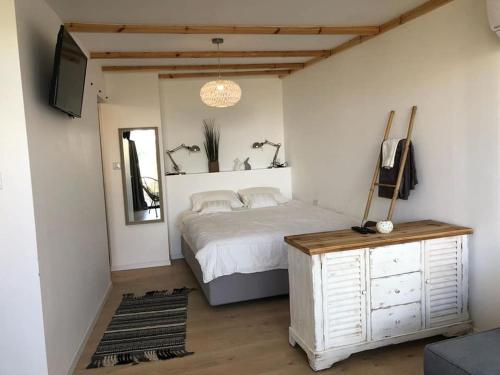 una camera da letto con un letto e una TV di A secret Oasis a Eilat