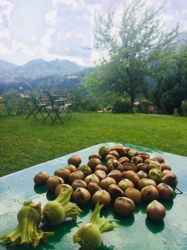 a pile of hazelnuts sitting on top of a table at Ξενώνας Αλώνι-Guesthouse Aloni in Theodoriana
