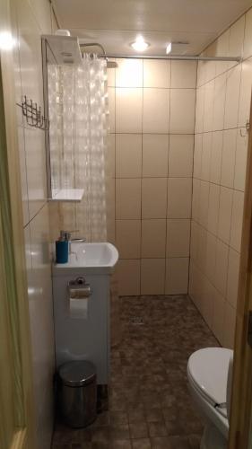 a bathroom with a white sink and a toilet at Roosu Talu Accommodation in Sulbi