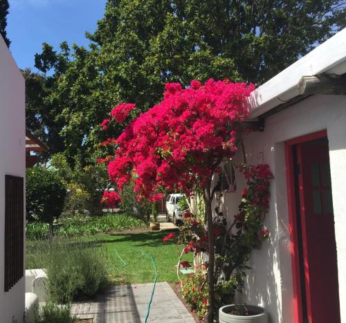 Zahrada ubytování Acorn Cottage Hermanus