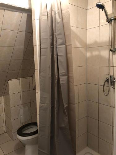 une petite salle de bain avec toilettes et douche dans l'établissement Duplex Hyper centre colmar, à Colmar