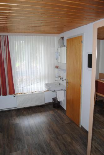 a bathroom with a sink and a window at Hotel Des Alpes in Kandersteg