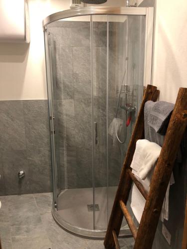 a shower with a glass door in a bathroom at PETITE MAISON a 50 passi dalla funivia !!! in Courmayeur