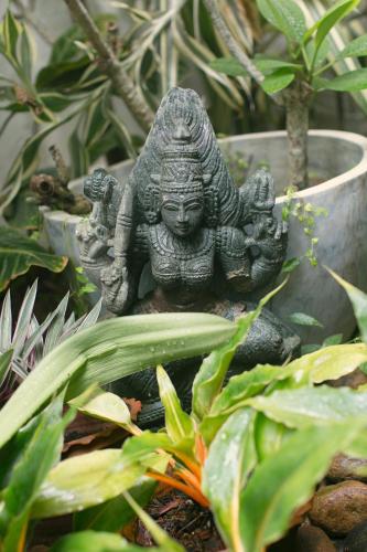 a statue of a deity sitting in a garden at LE JARDIN DU FORT - GALLE in Galle