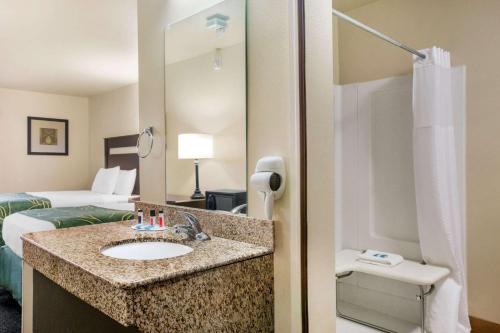 a hotel room with a bathroom with a sink and a bed at Travelodge by Wyndham Livonia in Livonia