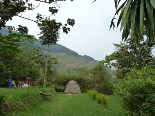 a tent in a field with a mountain in the background at Karungi Camp in Rubuguli