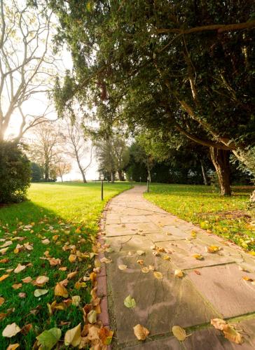 a stone path in a park with leaves on the grass at Leigh Park Country House Hotel & Vineyard, BW Signature Collection in Bradford on Avon