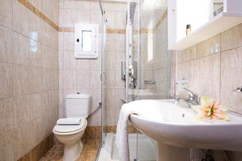 a bathroom with a toilet and a sink and a shower at Adria Luxury Apartments in Nydri