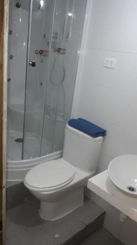 a bathroom with a toilet and a shower and a sink at Borde lago I - II -III in Puerto Varas