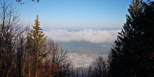 a view of a city in the clouds from above at Zimmervermietung Stocker in Waidhofen an der Ybbs