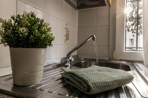 - un évier de cuisine avec une serviette et une plante en pot dans l'établissement La Rosa, à Ferrare