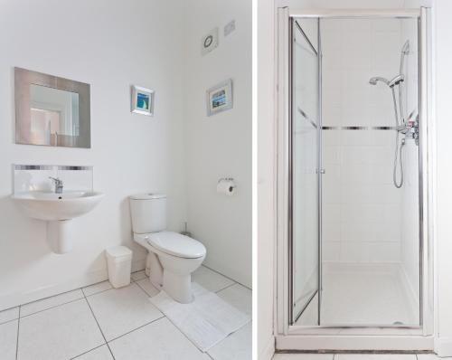 a bathroom with a shower and a toilet and a sink at 6a Cedar Grove in Bangor