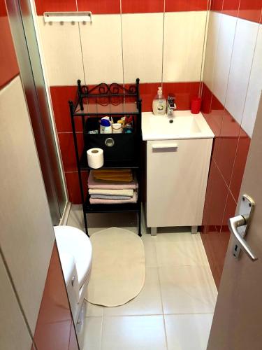 a small bathroom with a sink and a toilet at Apartments Ruža in Pula