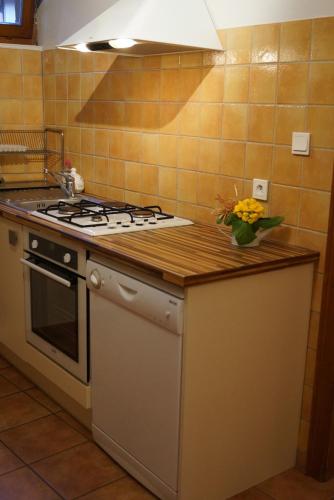 a kitchen with a stove and a vase of flowers on a counter at Gite de la Vieille Forge in Beblenheim