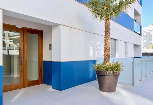 a palm tree in a pot next to a building at El Mirador De Villamartin - La Zenia & Golf in Playas de Orihuela