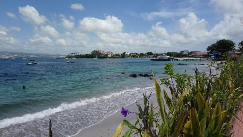 una spiaggia con persone che nuotano in acqua di Fleur d'Acacia a Les Trois-Îlets