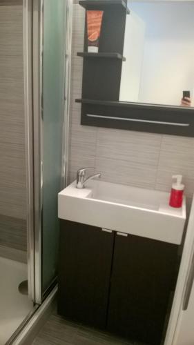 Koupelna v ubytování Studio Husitská 114/74