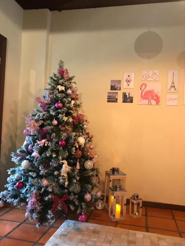 Paz e Aconchego. – Photos 3
