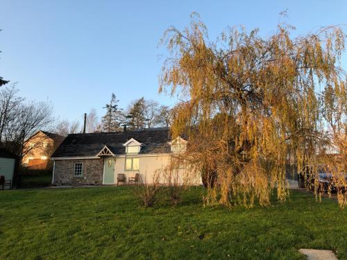 Κήπος έξω από το Lletty Ann wynn at Fraithwen Cottages