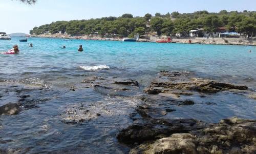 Foto dalla galleria di Apartmani Ivandić a Murter