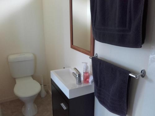 uma casa de banho com um WC, um lavatório e um espelho. em Sunset Accommodation em Westport