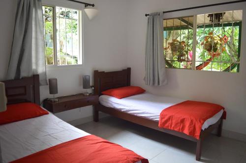 2 Betten in einem Zimmer mit 2 Fenstern in der Unterkunft Casa Oasis de colibri in El Zaino