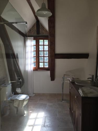ショーモン・シュル・タロンヌにあるchambre à la campagneのバスルーム(トイレ、洗面台付)、窓が備わります。