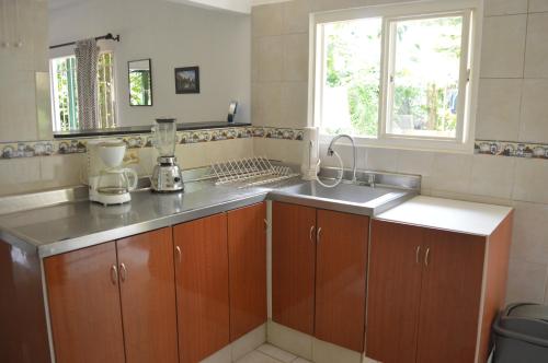 eine Küche mit Holzschränken, einem Waschbecken und einem Fenster in der Unterkunft Casa Oasis de colibri in El Zaino