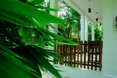 a porch with a wooden fence and a plant at Talalla 170 Villa in Talalla