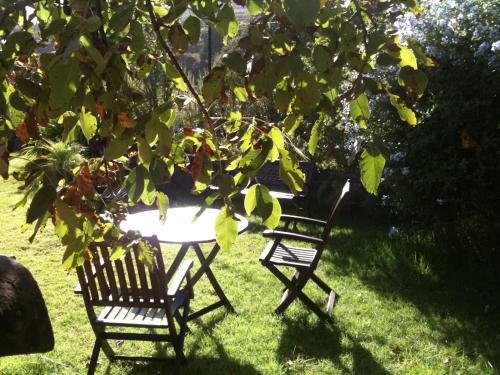 two chairs and a table in the grass under a tree at Rural Las Llanadas in Los Realejos