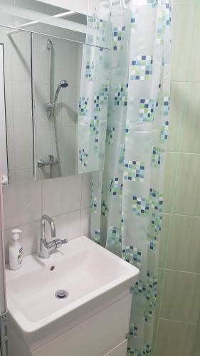 een badkamer met een wastafel en een douchegordijn bij Roza Apartment in Varna