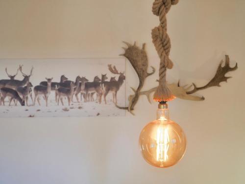 a light hanging from a wall with a picture of deer at Vora Riu in Esterri d'Àneu