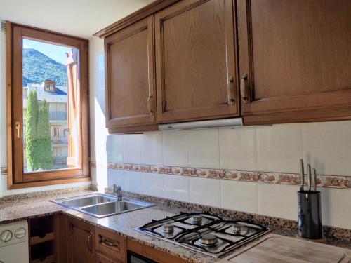 a kitchen with wooden cabinets and a sink and a window at Vora Riu in Esterri d'Àneu