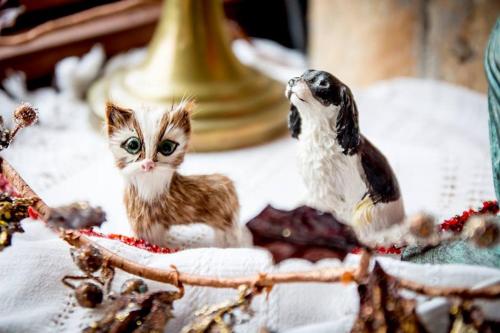 a cat and a toy bird on a table at Kedra Village in Kédra