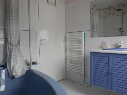a bathroom with a shower and a blue sink at Chambre d'hôtes proche de Brest et Landerneau in Dirinon