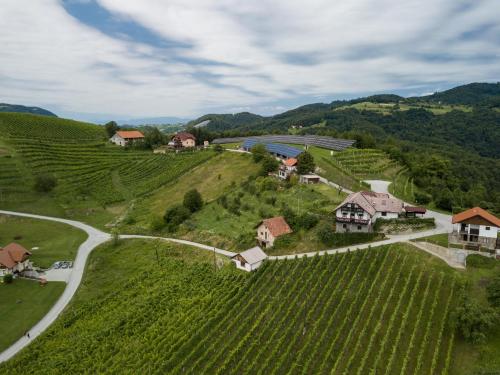 Příroda nedaleko apartmánu