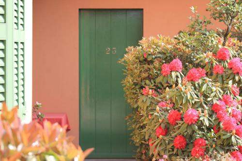 Jardin de l'établissement ALBERGO LA SCALETTA