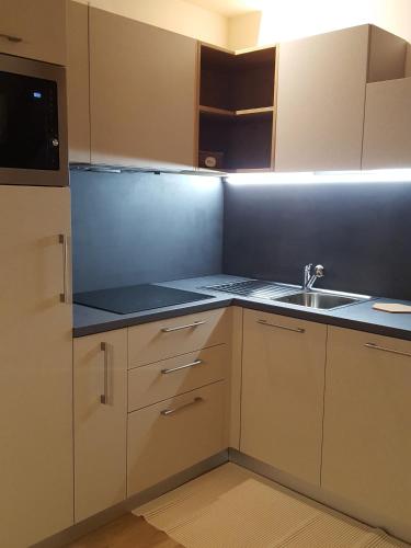 Kuchyň nebo kuchyňský kout v ubytování Residence Langes