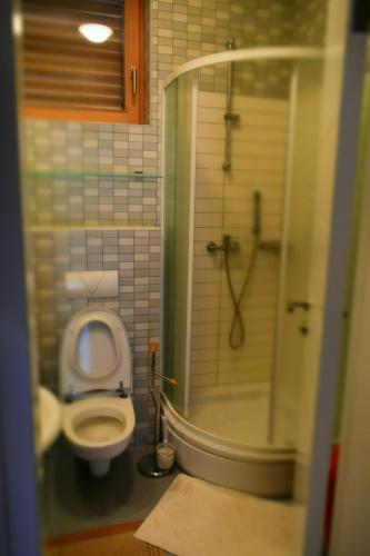 Ванна кімната в Vučko Apartment