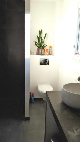 une salle de bain avec un lavabo blanc et des toilettes dans l'établissement L'Olivier, à Mornant