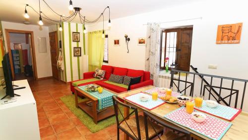 Casa Gatos