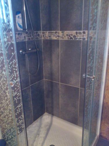 une douche avec une porte vitrée dans une salle de bain dans l'établissement LE PETIT COIN DE PARADIS, à Roscanvel